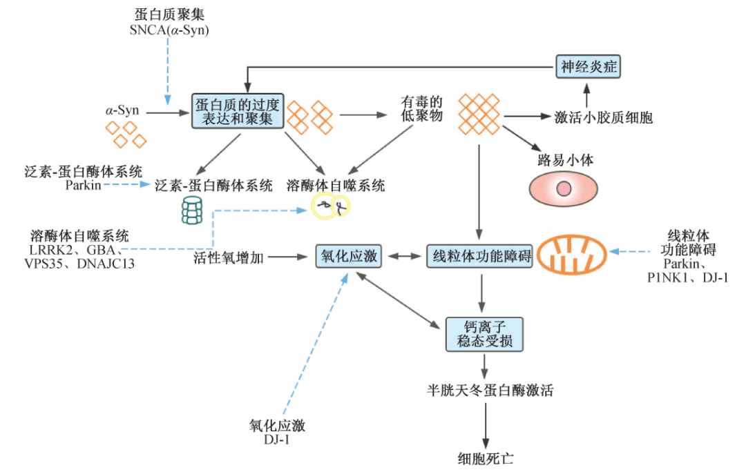 帕金森不止手抖这么简单！这些报警信号千万别忽视