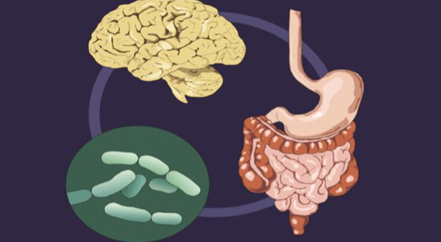 人类抑郁的“幕后真凶”，竟然在肠道？