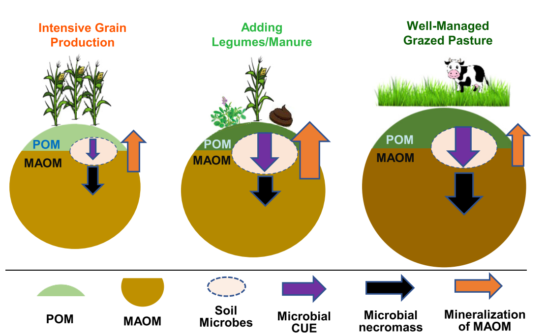 文献解读|基于有机质组成和数量变化探究不同管理措施对土壤中持久性碳的影响