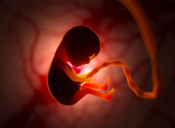 擔心試管嬰兒胚胎移植錯誤