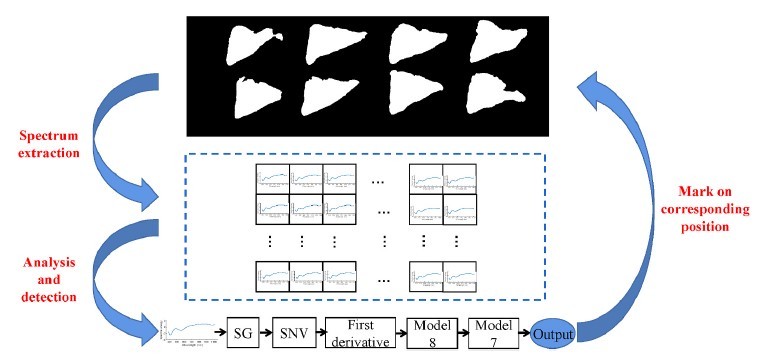 Resonon | 利用VIS/NIR高光譜成像進(jìn)行生魚片寄生蟲檢測(cè)