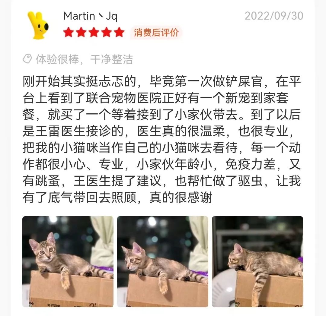 养第二只猫后，我被原住民控诉偏心了……