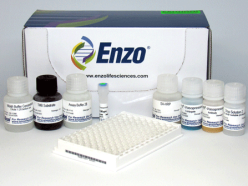 ENZO热销产品——Arg8-Vasopressin ELISA kit  