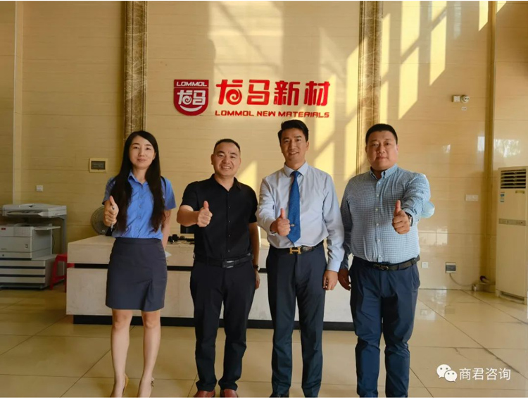 广东龙马新材料科技股权规划与激励咨询项目