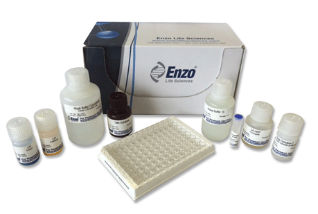ENZO热销产品—— LH ELISA kit