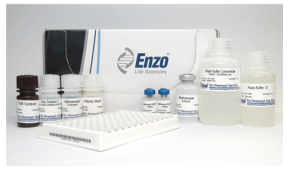 ENZO热销产品——Methotrexate（甲氨蝶呤）ELISA kit  