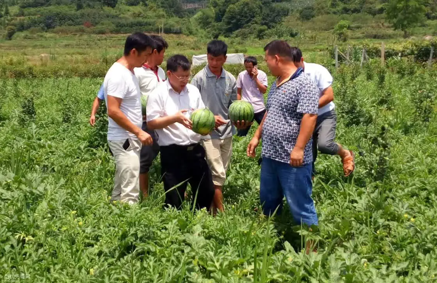 村干部是不是干部？武大教授：村干部一旦公务员化，后果不可想象