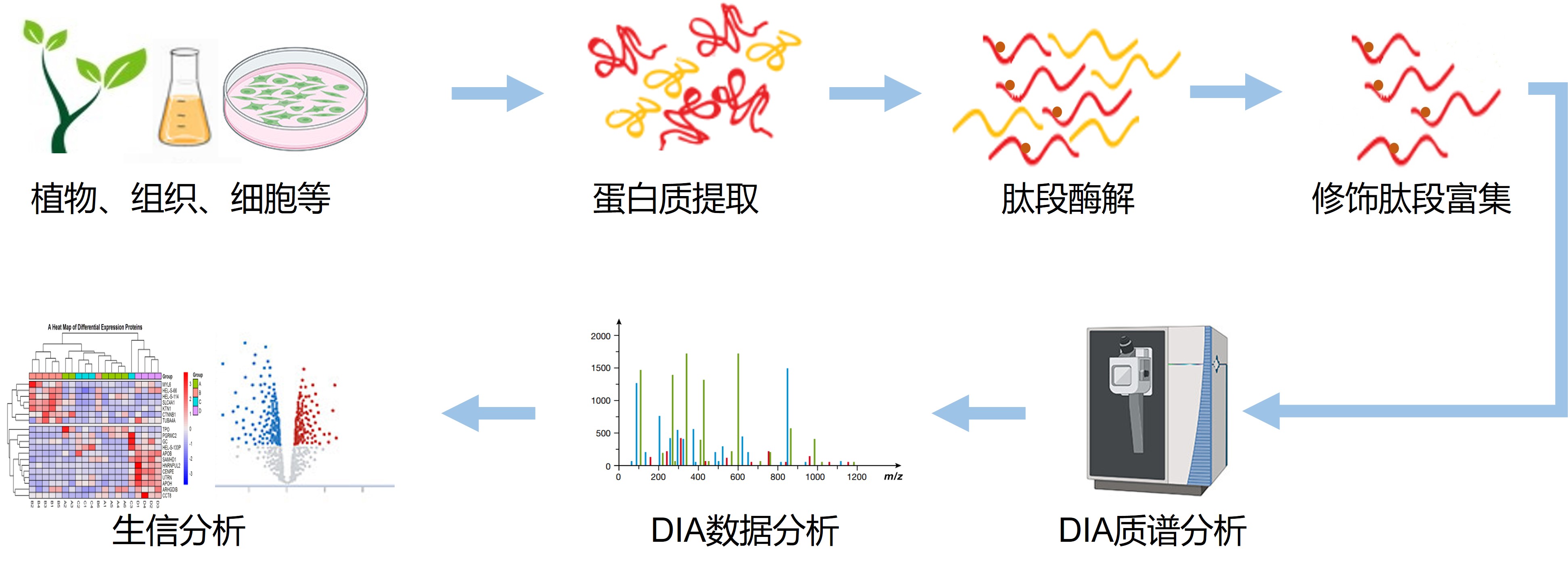 超高深度DIA乙酰化修饰蛋白质组