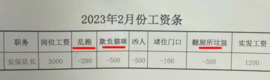 狗狗月薪3000元，因欺负猫和翻垃圾被扣1800元！