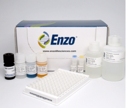 ENZO热销产品——Insulin（胰岛素）ELISA kit  
