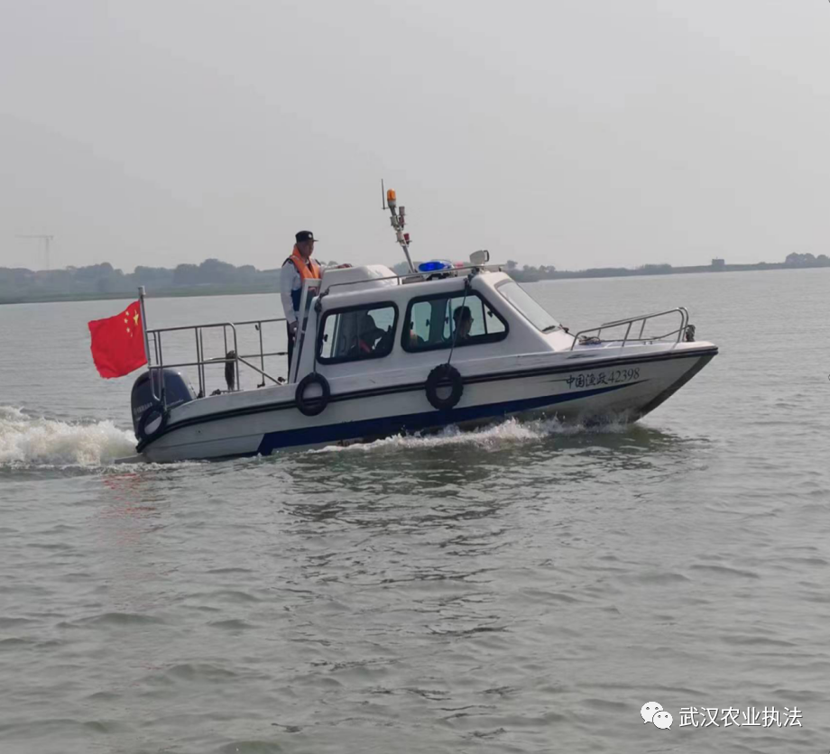 东湖高新区专项整治 巩固长江禁渔强基础关键之年