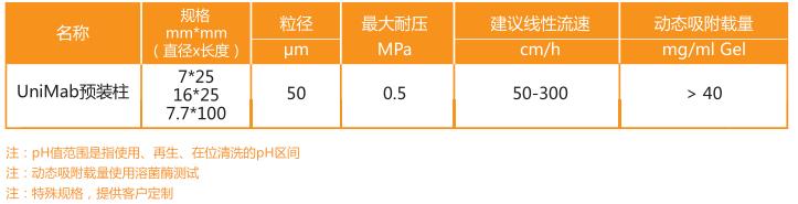 Protein A抗体纯化预装柱