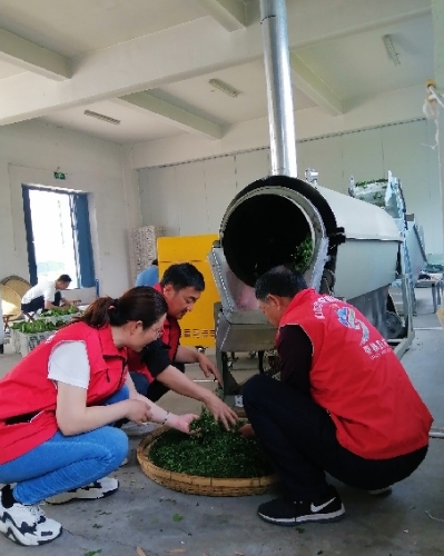 山东科技活动周期间蚕桑产业技术体系组织开展科普工作和科技服务系列活动纪实 山东科技活动周期间蚕桑产业技术体系组织开展科普工作和科技服务系列活动纪实