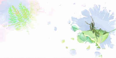 今日芒種|盛夏伊始,萬物爭時! 今日芒種|盛夏伊始,萬物爭時!