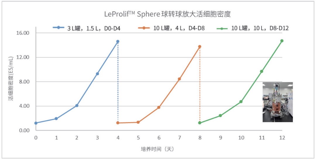 乐上新 | 乐纯生物 LeProlif™ Sphere 球状微载体正式上市