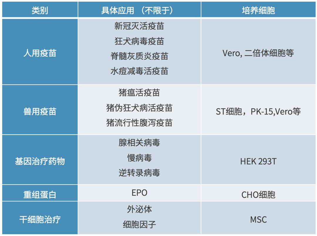 乐上新 | 乐纯生物 LeProlif™ Sphere 球状微载体正式上市