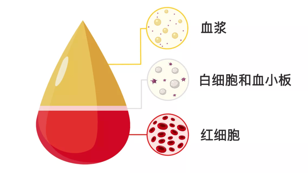 【2023年卫生健康宣传日】世界献血者日——汇聚青春正能量,无偿献血传爱心 【2023年卫生健康宣传日】世界献血者日——汇聚青春正能量,无偿献血传爱心
