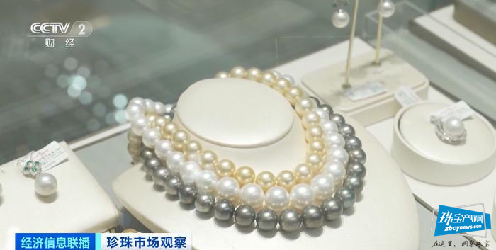 珍珠“飙”了…… 珍珠“飙”了……