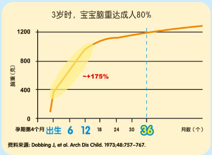 访谈专题：董总：“早教是必不可少的！”