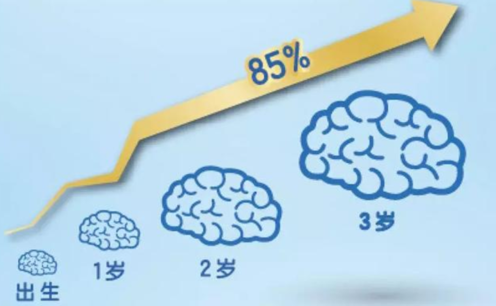 访谈专题：董总：“早教是必不可少的！”