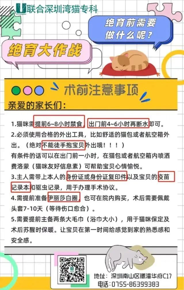 猫友好出行——如何带猫咪去医院