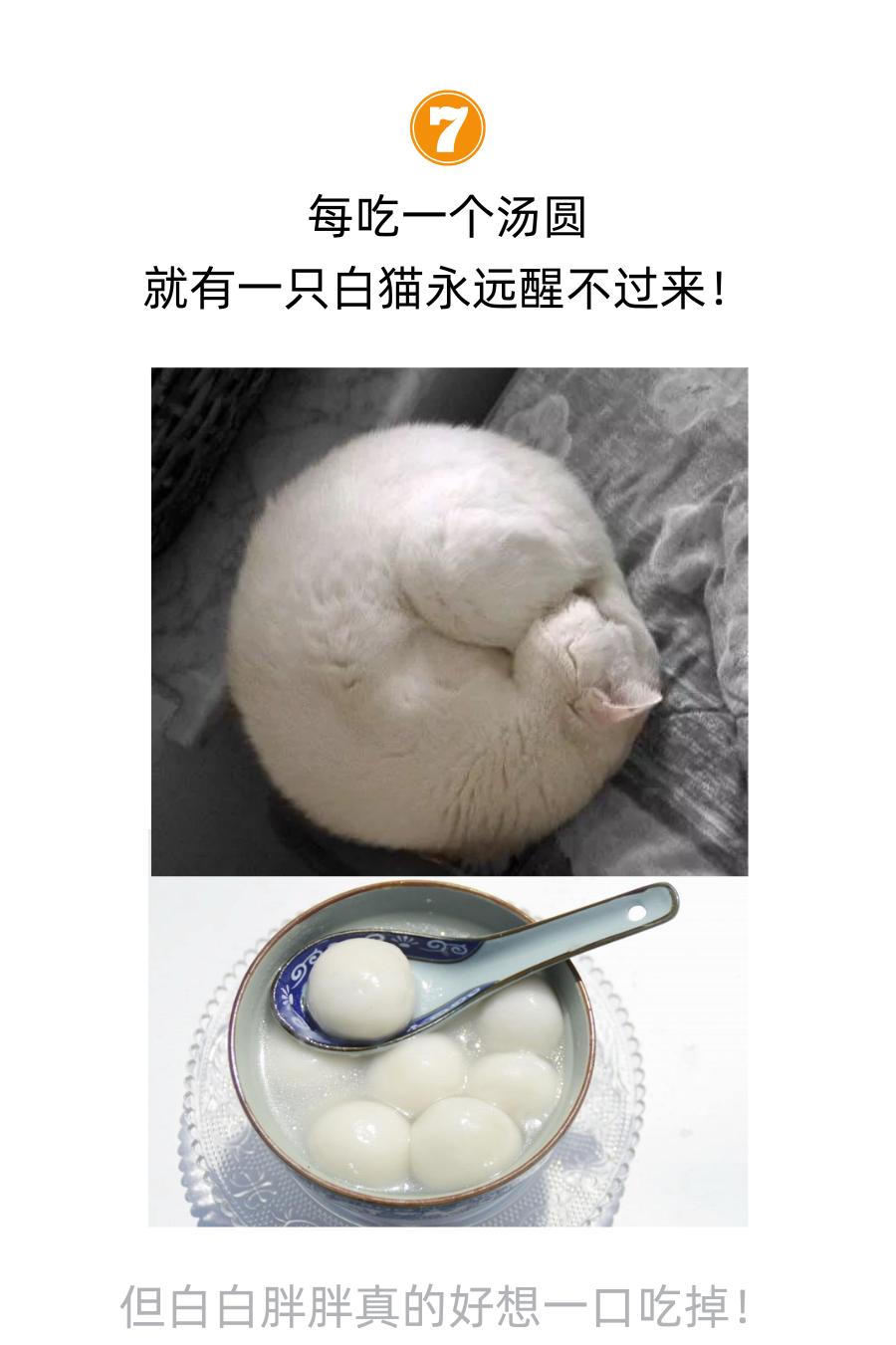 每吃掉一个山竹，就有猫失去它的爪子！