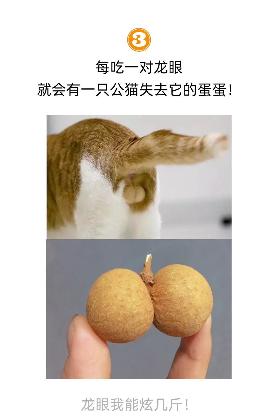 每吃掉一个山竹，就有猫失去它的爪子！