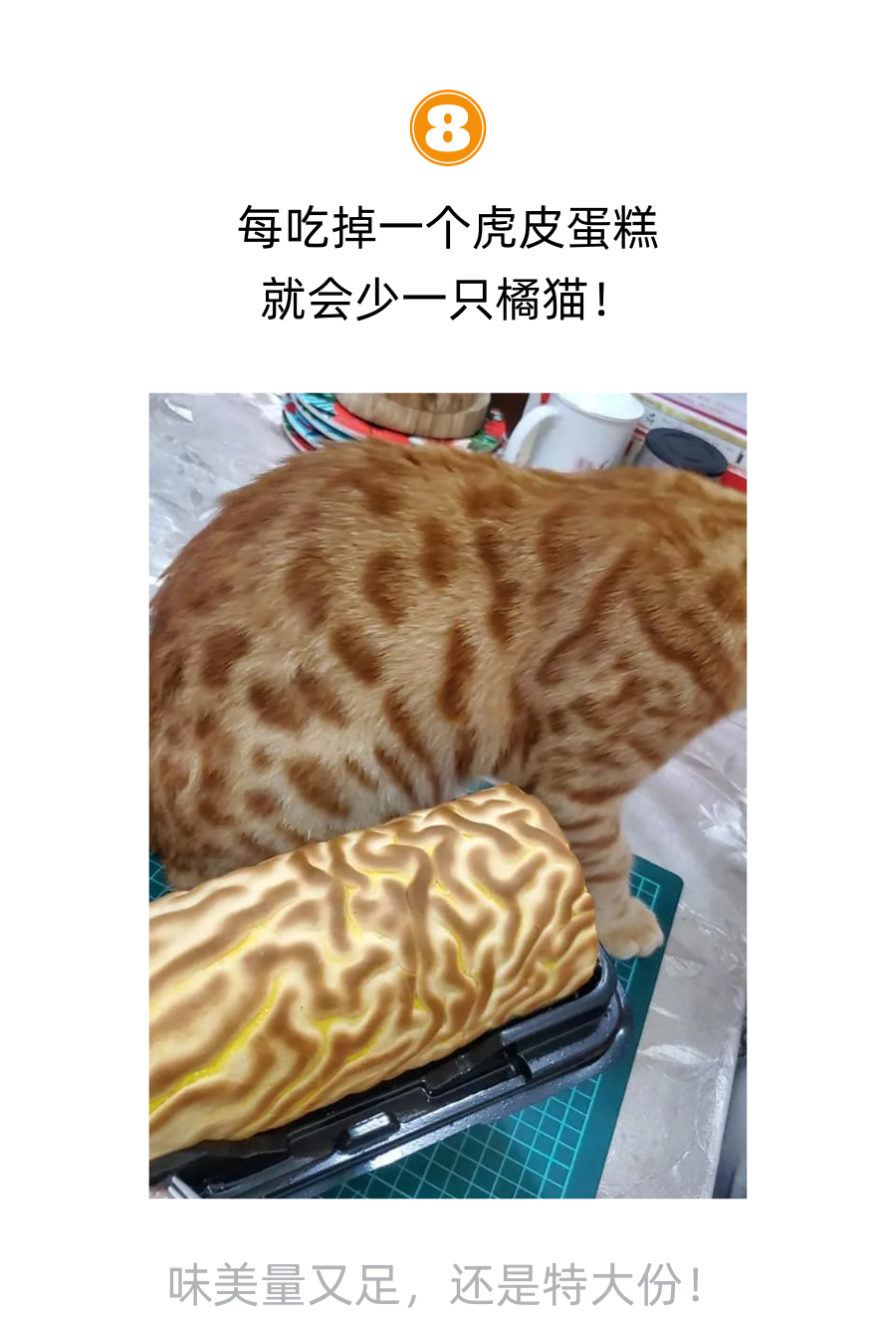 每吃掉一个山竹，就有猫失去它的爪子！