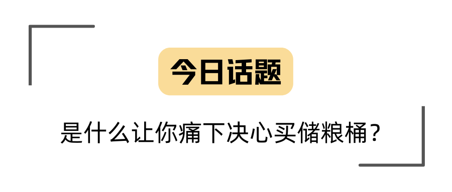 狗狗储粮桶是不是智商税？