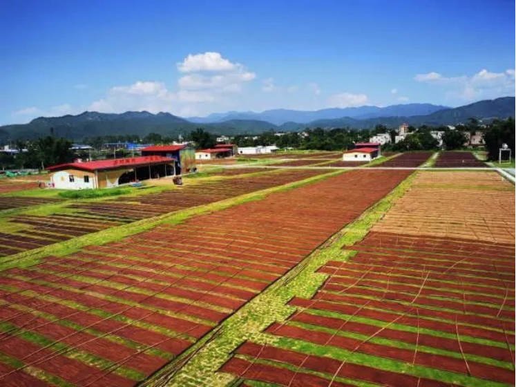 南方农村报报道：易利EZWeb登录入口网页为和美乡村注入“源头活水” 