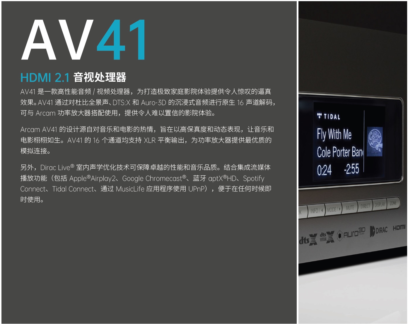 AV41环绕声处理器