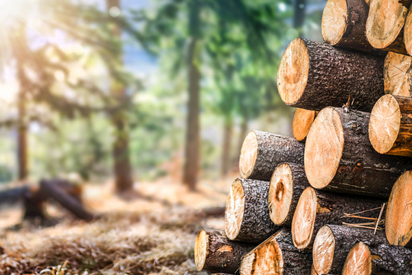 林业有害生物防制资质：提升企业竞争力的重要途径！