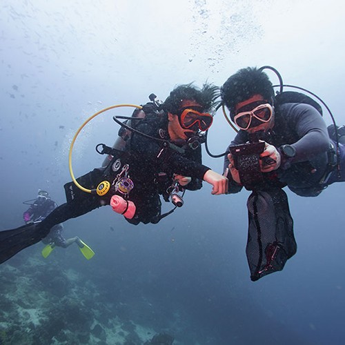 Pulisan Bay Scientific Diving Training Event Report