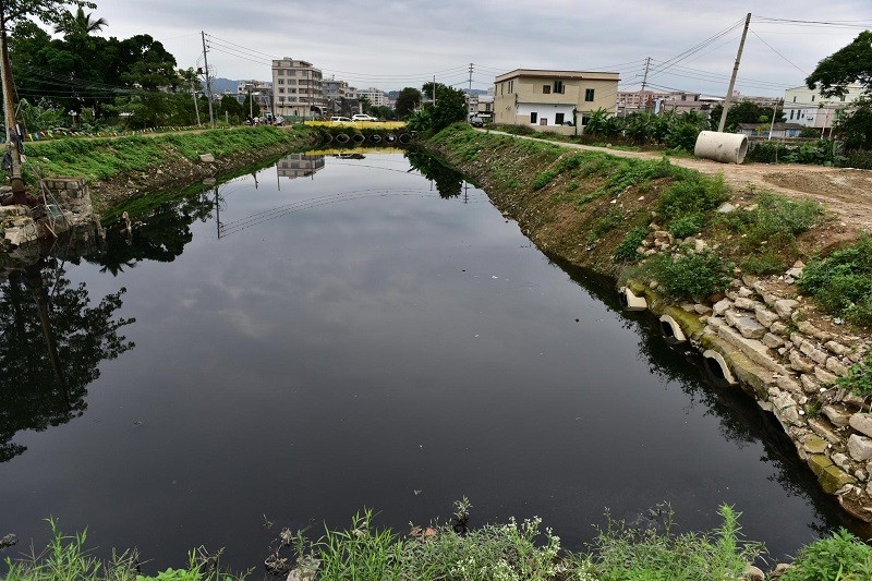 城市黑臭水體整治技術(shù)探析