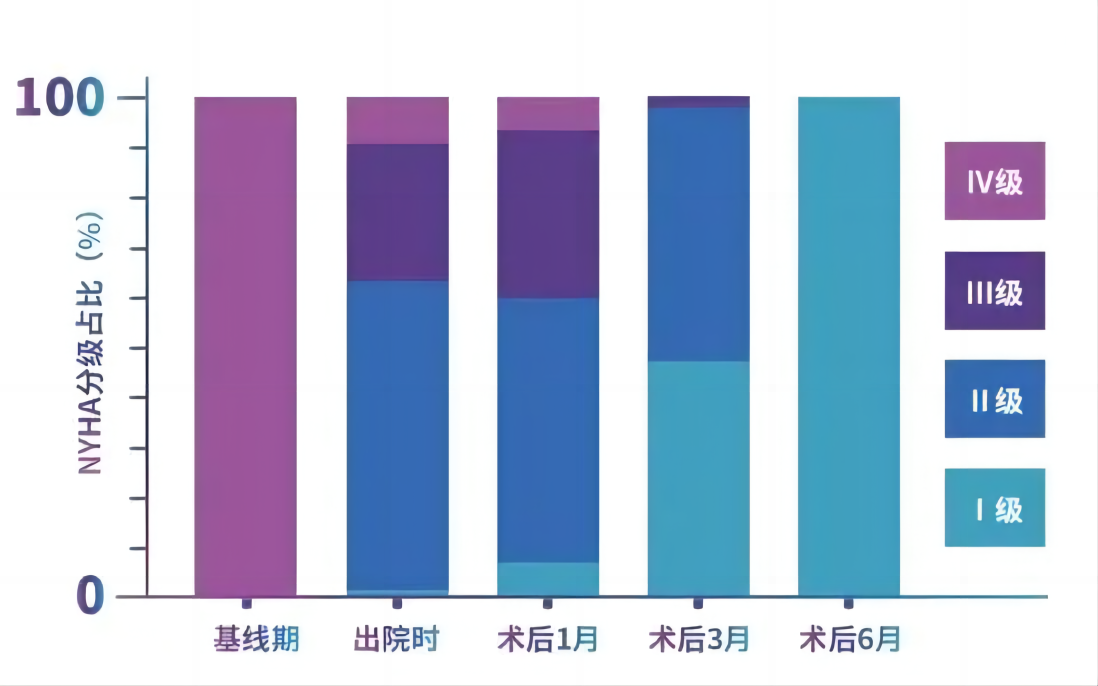 倚锋资本前瞻性布局！核心医疗开启“中国心”新时代