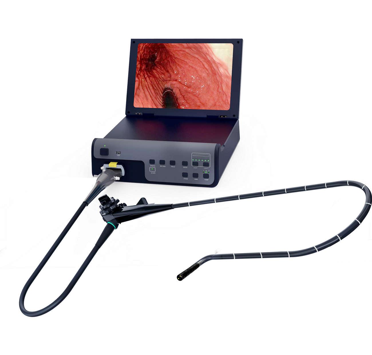 Gastroscope - Shenzhen Sanping Image Technology Co., Ltd.