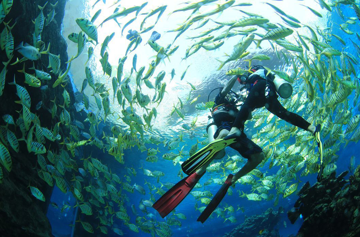 Recreational diving