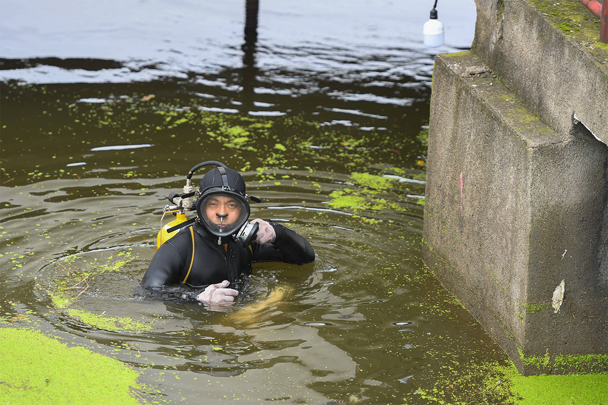  Public safety diving