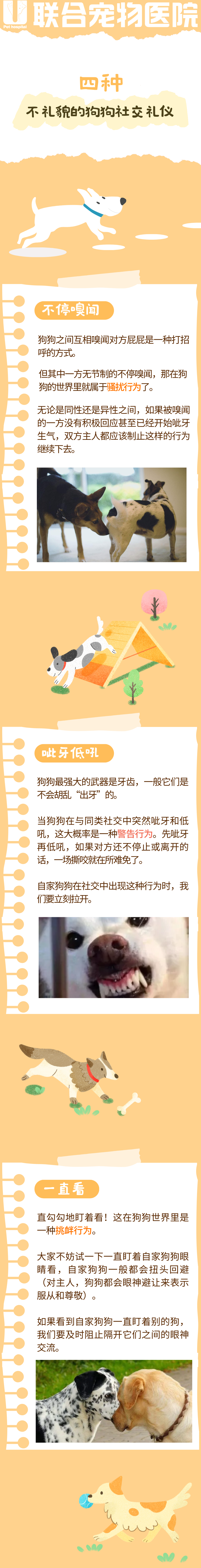 狗狗社交很重要，但有的狗就是没礼貌！