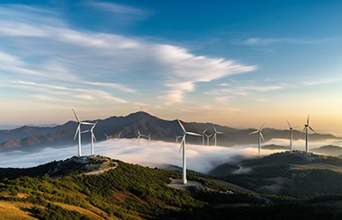 【能源战略】全球首台16兆瓦超大容量海上风电机组成功并网发电；《关于促进民营经济发展壮大的意见》发布……