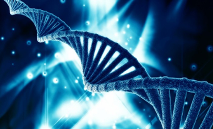 What does RNA synthesis service include?
