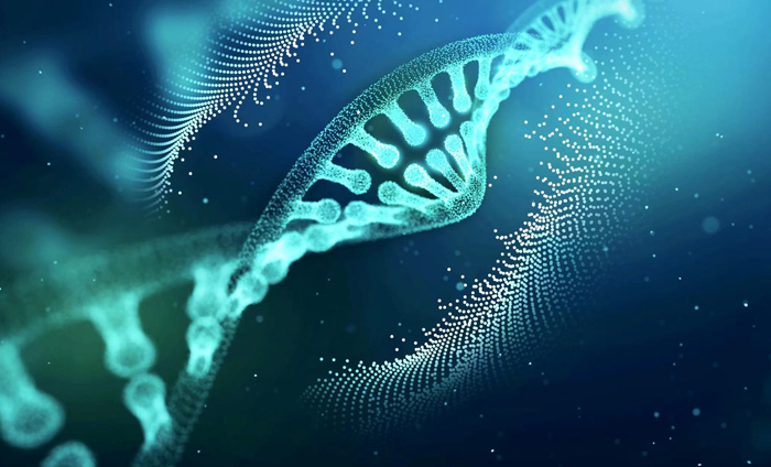 Introduction to the advantages, methods, and application scenarios of gene synthesis services Introduction to the advantages, methods, and application scenarios of gene synthesis services