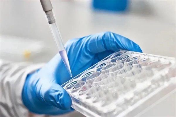 Recommended Advantage Products | | Application of 5rApp Probes as Core Materials for Second Generati