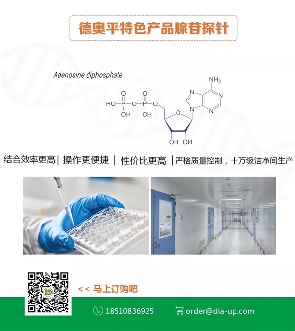 Recommended Advantage Products | | Application of 5rApp Probes as Core Materials for Second Generati