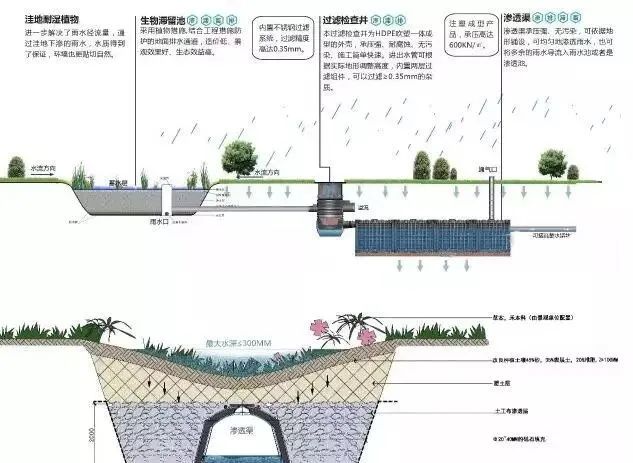 国际经验 | 德国关于城市雨水利用技术