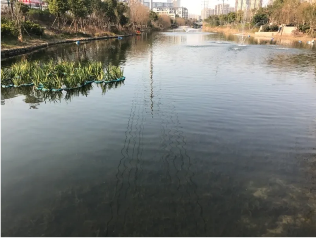 观点| 河湖生态修复19大误区