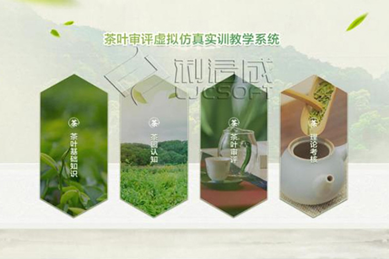 茶叶评审虚拟仿真教学实训系统