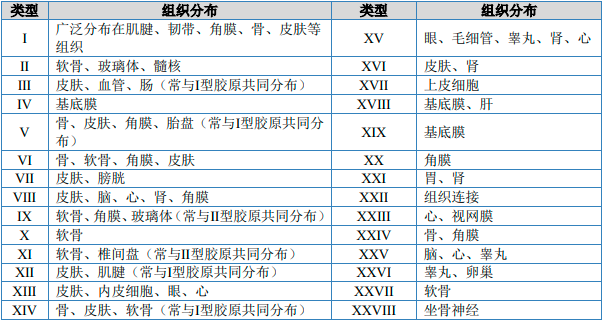 2023年中国胶原蛋白材料行业市场运行现状分析及未来市场发展趋势研究预测 2023年中国胶原蛋白材料行业市场运行现状分析及未来市场发展趋势研究预测