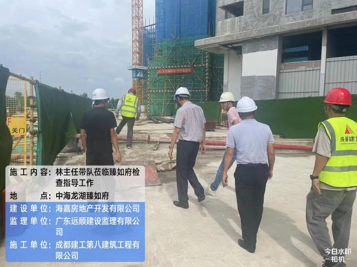 2023年7月，副总经理兼办公室主任林秋娜带队，与技术总工陈伟才、总工室肖建新前往惠州臻如府检查指导工作。
