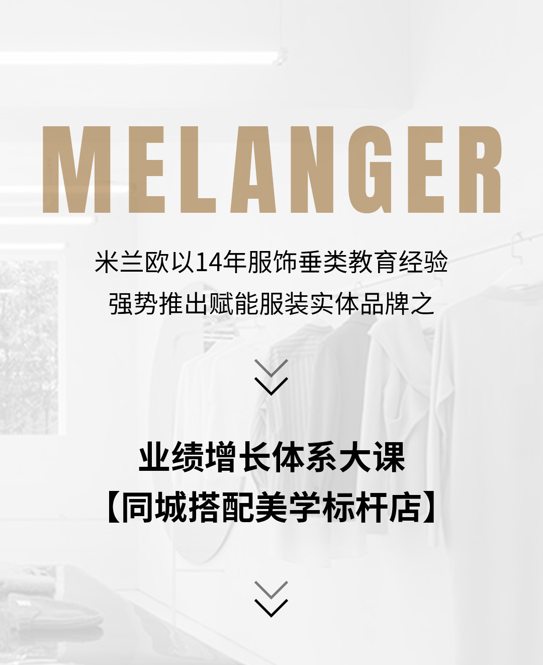 业绩增长体系大课【同城搭配美学标杆店】